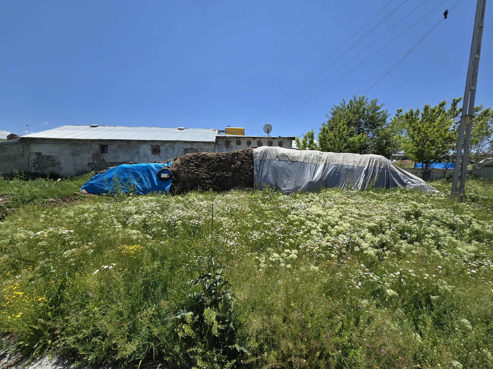 MABEL'DEN NENEHATUN'DA SATILIK ARAZİ VE BAĞEVİ